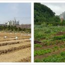 원당농장 이미지