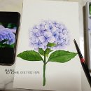 수채 일러스트 이미지