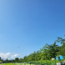 "유료 회원만 이용"…시민 공원 독점해 사용료 받는 파크골프협회 이미지