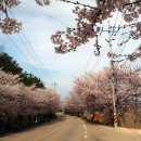 초락1리 이미지