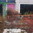 명주골작은도서관 이미지