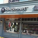 미니펫 강아지분양 고양이분양 강남점 이미지