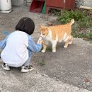 시골살이