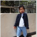 [자카디Boy] 비비안나스타일
