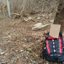 태성목장 이미지