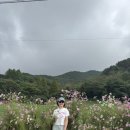 우주펜션 | 예상치 못했던 힐링 고흥여행 | 쑥섬,일성식당,우주전망대펜션,우주전망대카페,하동케이블카