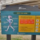 지도 왕벚나무길 이미지