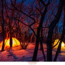 버티고 비박단 2025년 상반기 산행결산 이미지