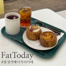 팻투데이(FATTODAY) 이미지