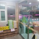 다온축산 이미지