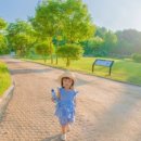 핑크피크닉 이미지