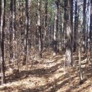 종국목장 | 백운산에는 흰구름만 오락가락하였다[탑골-삼강봉-백운산-삼익목장 산행기