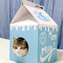 마르셀 하우스 이미지