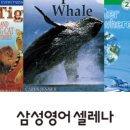 삼성영어셀레나봉담학원