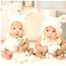 모짜르트 이미지