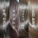 위트헤어(WIT)