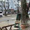 반천초등학교 | 울산 남구 무거동 카페온그린 식물 카페 애견동반 가능