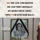 올레소주방 | (8월 개봉작) 아픈역사 비련의 주인공 「 덕혜옹주 후기 」 대한민국의 마지막 황녀를 다룬 영화.