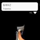 즐거운피티샵(개봉점) 이미지