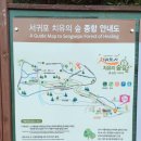 [11월 1차 환경보전의 날] 20211106_서귀포 치유의 숲 이미지