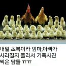 만득이 이미지