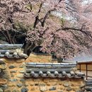 밀양향교 이미지