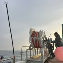 동부권 | 출조후기::한치 선상 낚시 &#39;남해동부권에도 한치 시즌이...&#39; with 데스페라도 이카파티 한치 에기...