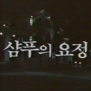 샴푸요정 이미지