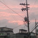 스워커 - 남동구 문화로 153 | 내몸매의 비밀 (상체비만 극복기)