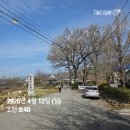 상하리 벚꽃길 | 홍성 용봉산 등산 후기 - 용봉산 등산코스 추천│소요시간, 난이도(용봉초교-투석봉-정상-노적봉-악귀봉...