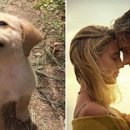 꼬리치는강아지 이미지