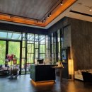 신세대빌리지 | [태국 방콕] 신축 호텔 태국 핫플 신돈 빌리지 킴튼말라이 호텔(수영장, 해피아워, 객실 정보, 루프탑...