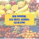 월천농장 | [공지] 과일 위탁판매 창업, 쿠팡 스마트스토어 초보 셀러를 위한 5단계 성공전략