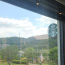 수원 화성행궁 스타벅스 라이트 핑크 자몽 파지오 STARBUCKS