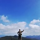 금샘 Daum카페