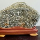 선경사슴 이미지