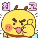 김미현임대
