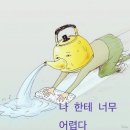 큰곰자리부동산중개그룹 | 미래에셋금융서비스 TAMS in BUSAN 1-2일차