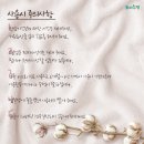 목화상점