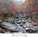 지리산약국 이미지