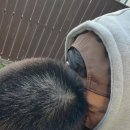 공명