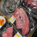 애견의 집 | 원주 애견동반 한우집 후기 | 횡성한우고향식당에서 강아지랑 한우 먹고 옴