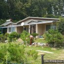 초지강화공인중개사사무소 이미지