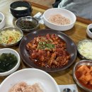 [수원한식 맛집] 초가집 | 낙지볶음 맛집 | 낙지 덮밥 추천
