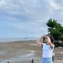 신진도드림 이미지