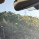 아모르모텔 | 제천]1박 2일 제천 여행 일정 기록: 청풍떡갈비-아모르무인텔-오디향-약선재-의림지-포레스트리솜 스파