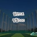 일산스프링힐스CC | 일산스프링힐스CC 방문 후기