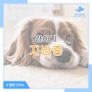 봄앤동물병원 이미지