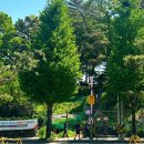 대전둘레산길(6구간) | 신탄진 등산 - 대전둘레산길 6구간 미니코스(?)