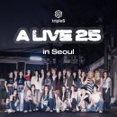 에스 티브이데일리
